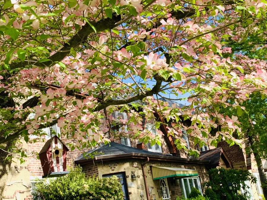 IMG_1078.jpg?type=w966