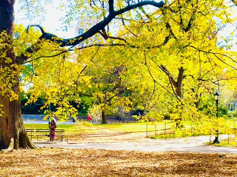 IMG_0289.jpg?type=w966