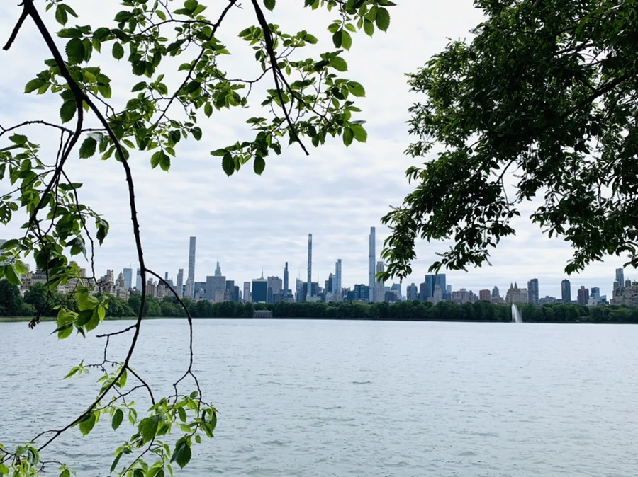 IMG_6407.jpg?type=w966