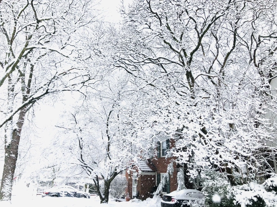 IMG_0962.jpg?type=w966