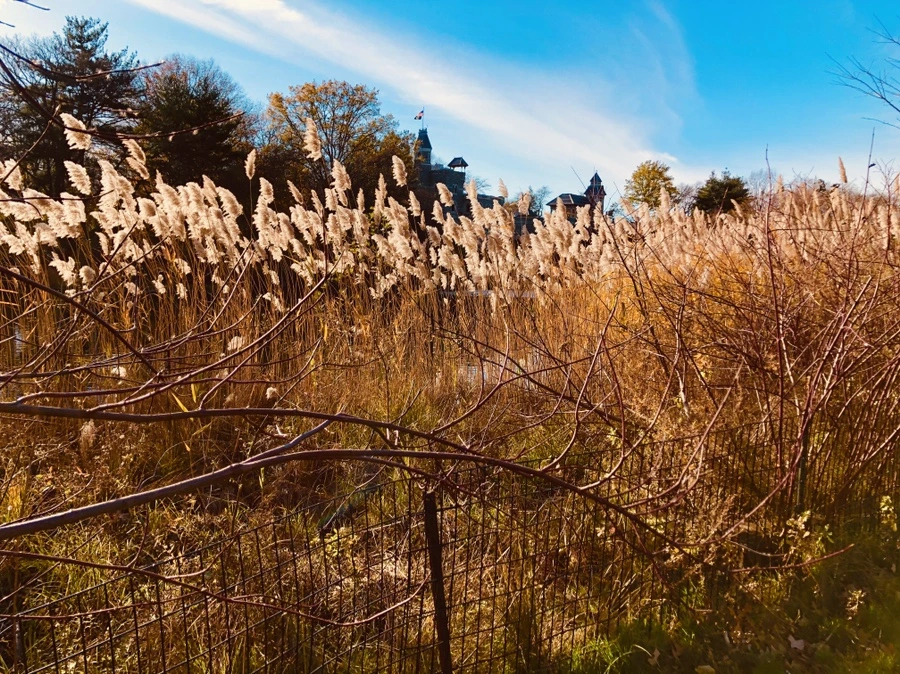 IMG_5324.jpg?type=w966