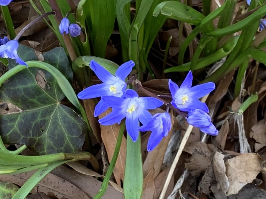 IMG_5790.jpg?type=w966