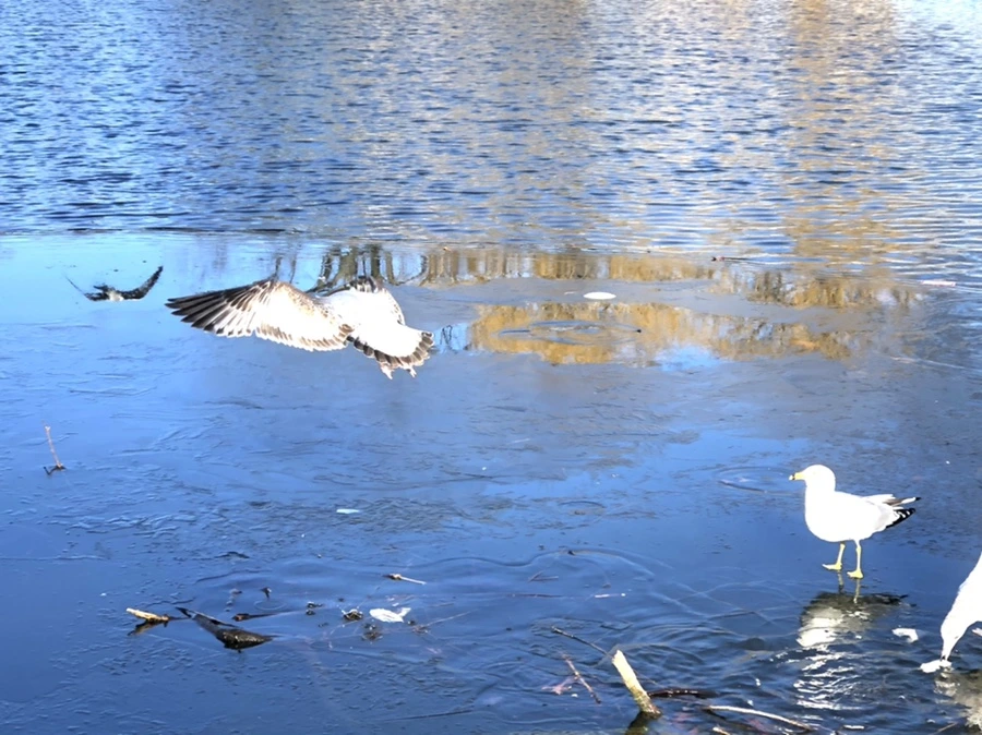 IMG_0514.jpg?type=w966