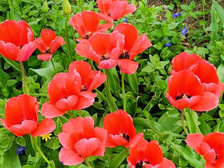 IMG_6973.jpg?type=w966