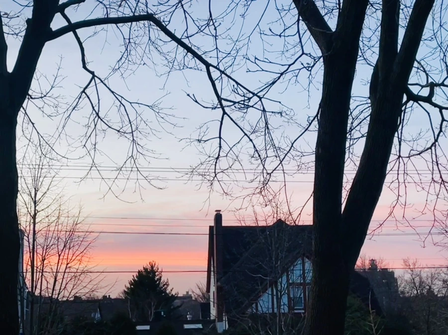 IMG_7478.jpg?type=w966