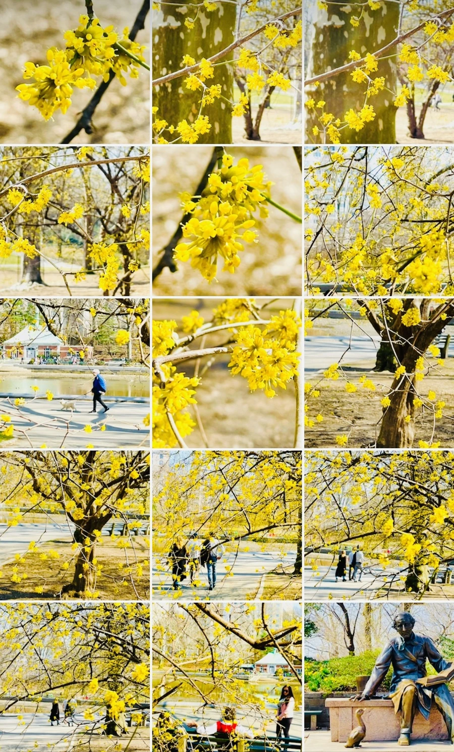 IMG_5654.jpg?type=w966