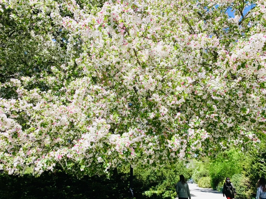 IMG_5729.jpg?type=w966