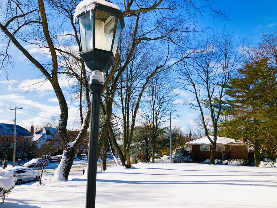 IMG_6959.jpg?type=w966