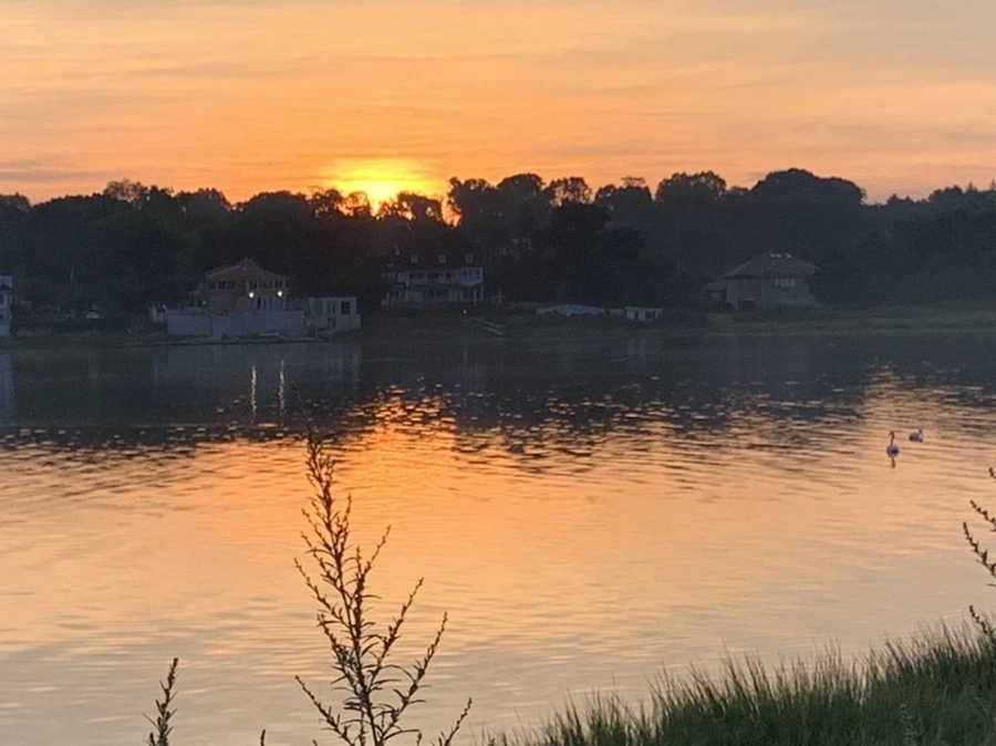 IMG_6822.jpg?type=w966