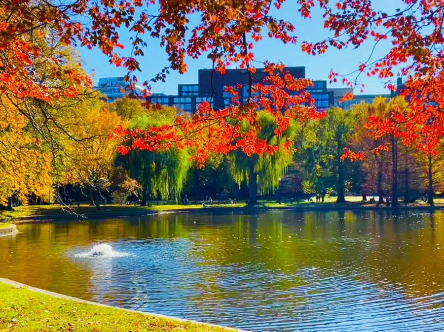 IMG_2556.jpg?type=w966