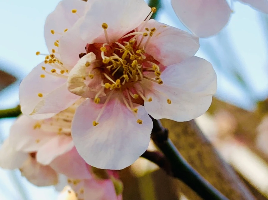 IMG_2751.jpg?type=w966