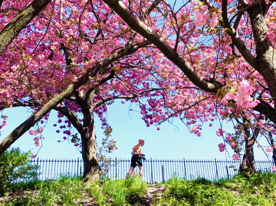 IMG_5955.jpg?type=w966