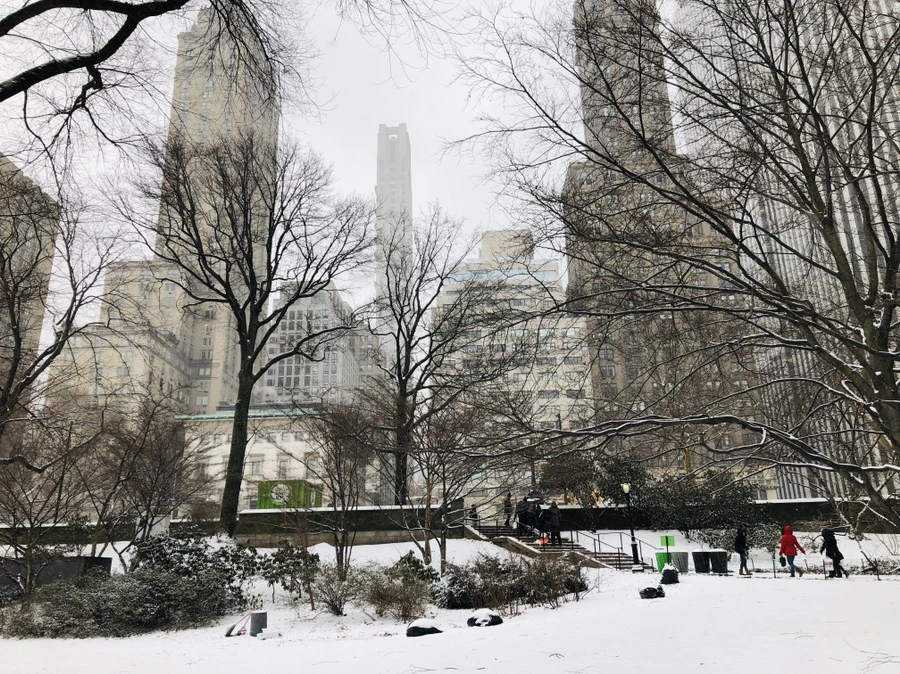 IMG_9529.jpg?type=w966