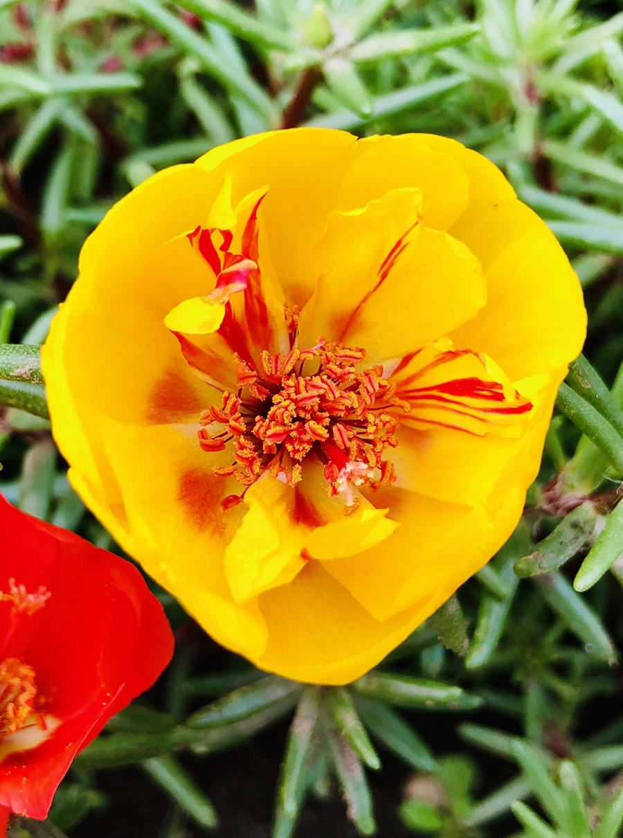 IMG_1447.jpg?type=w966