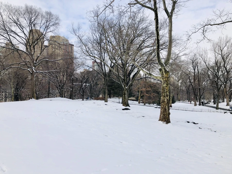 IMG_0382.jpg?type=w966