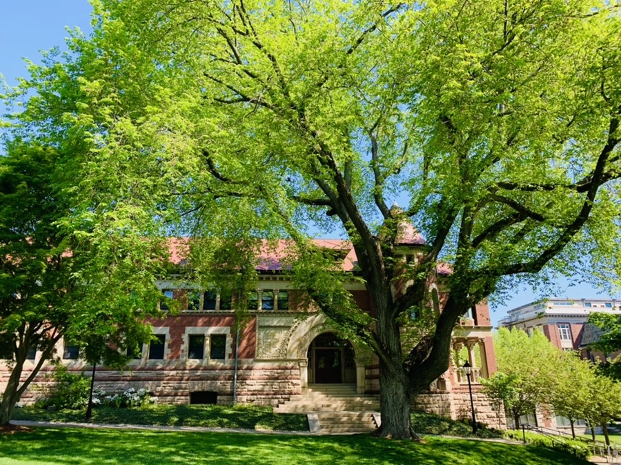 IMG_3091.jpg?type=w966