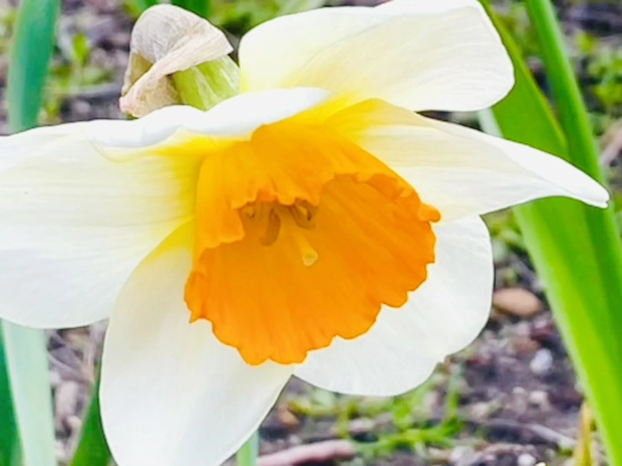 IMG_0388.jpg?type=w966