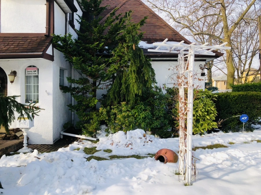 IMG_7724.jpg?type=w966