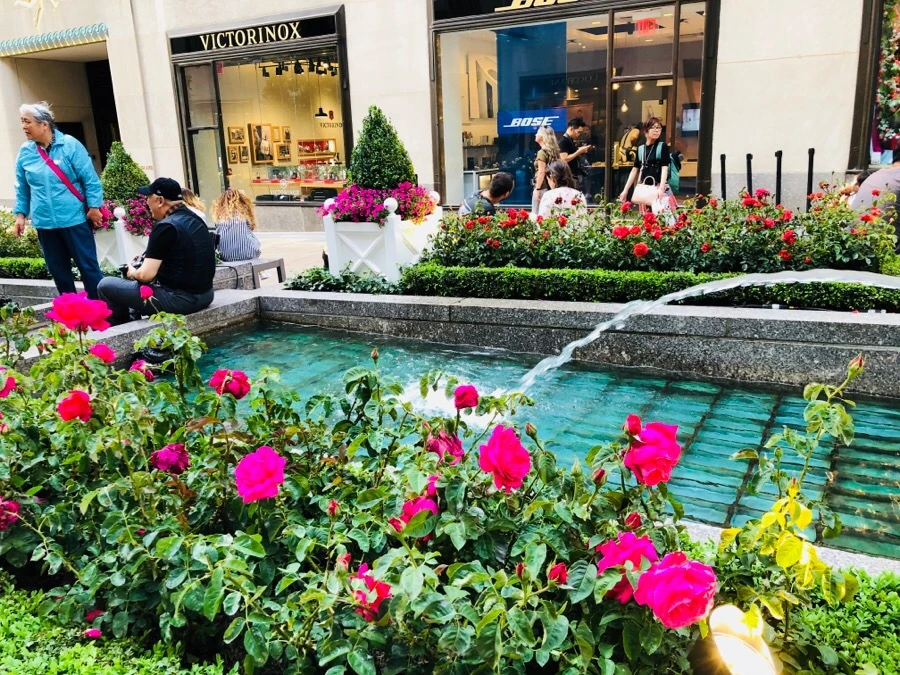 IMG_5344.jpg?type=w966