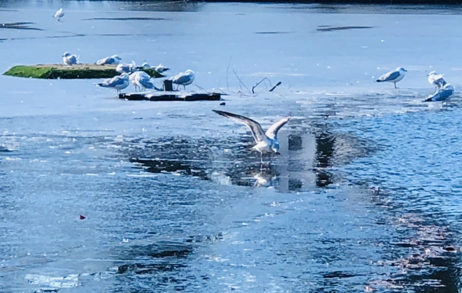 IMG_6581.jpg?type=w966