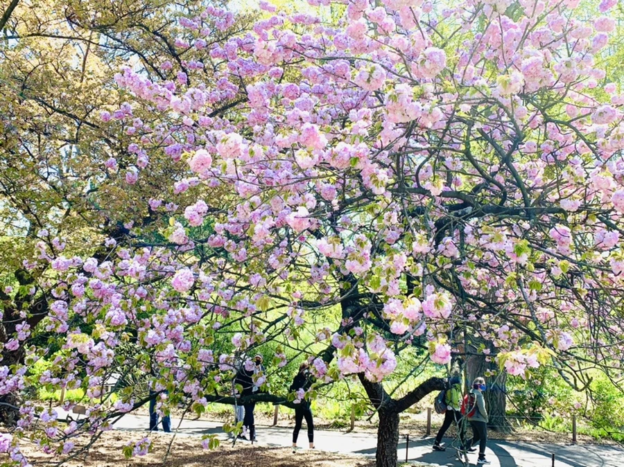 IMG_4629.jpg?type=w966