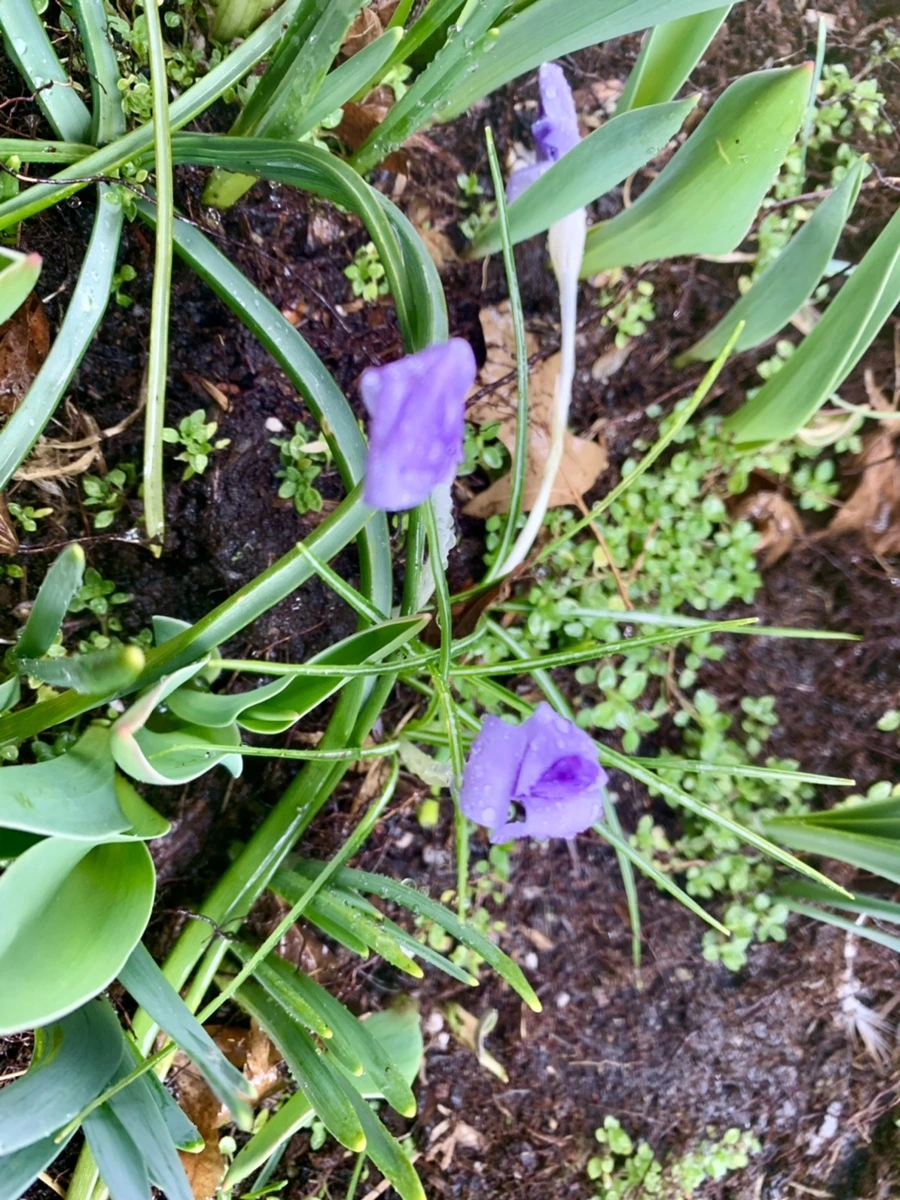 IMG_2147.jpg?type=w966