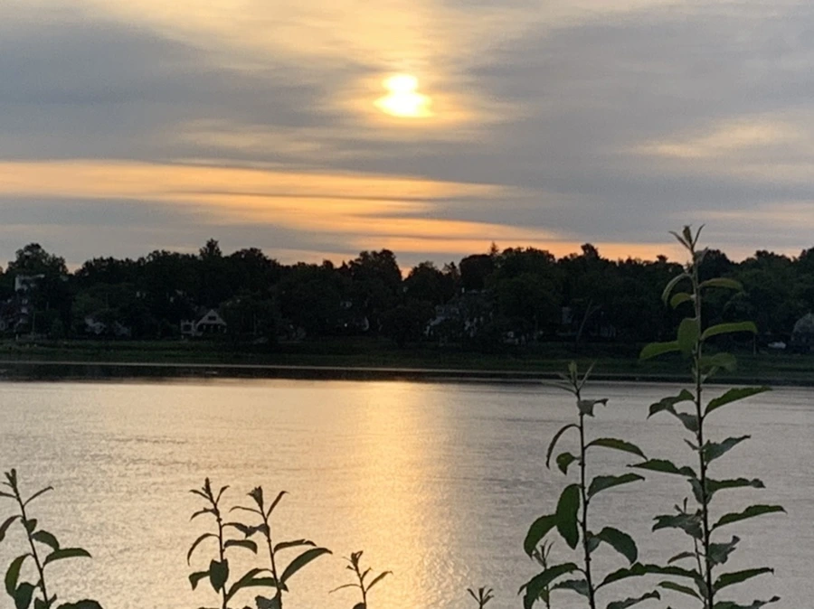 IMG_5975.jpg?type=w966