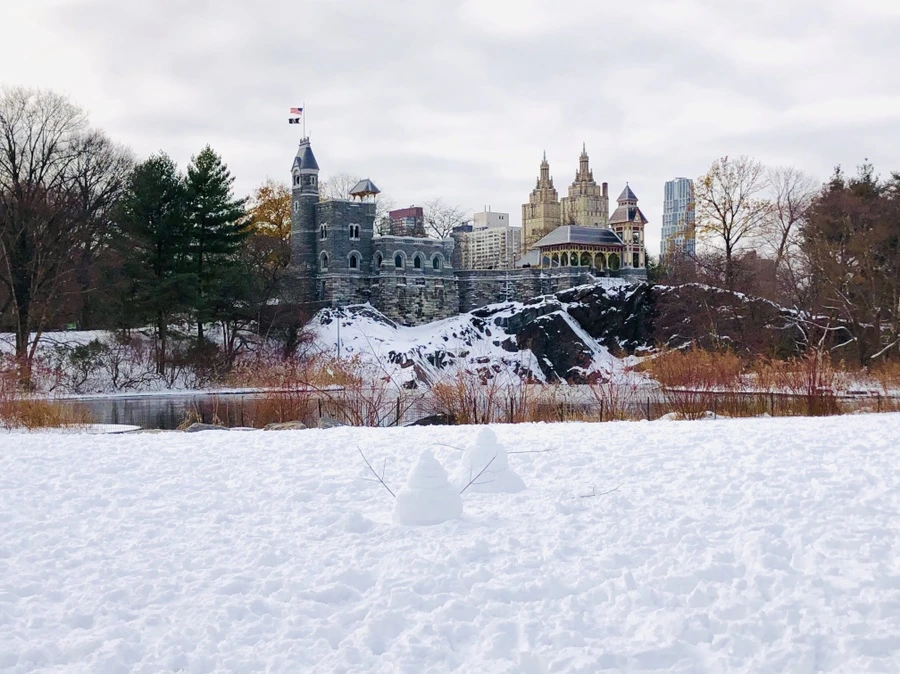 IMG_7315.jpg?type=w966