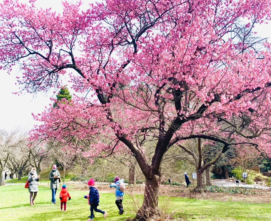 IMG_6423.jpg?type=w966