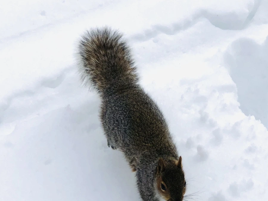 IMG_9249.jpg?type=w966