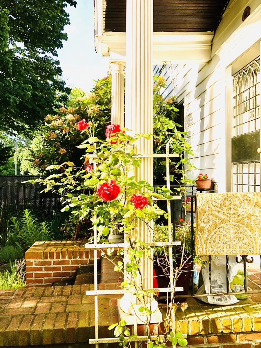 IMG_8081.jpg?type=w966