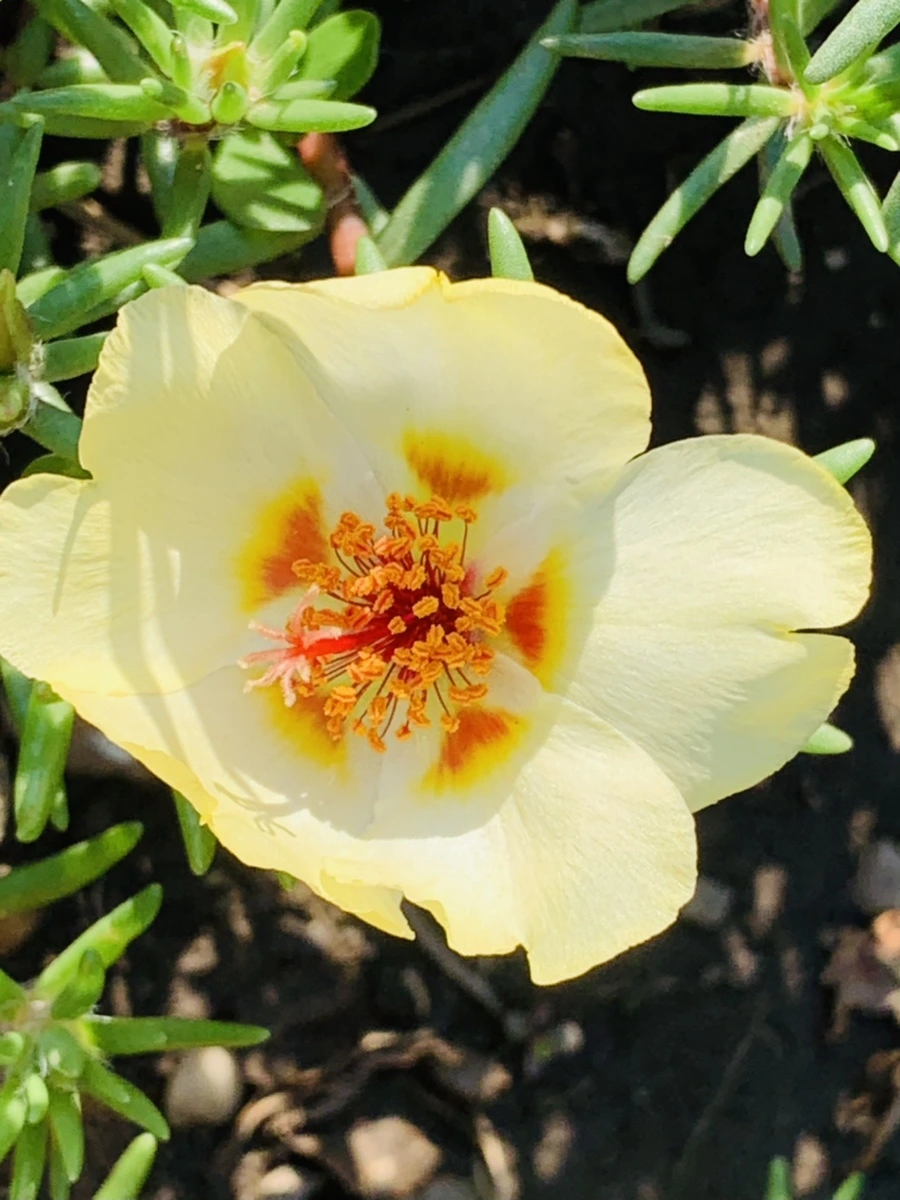 IMG_8390.jpg?type=w966