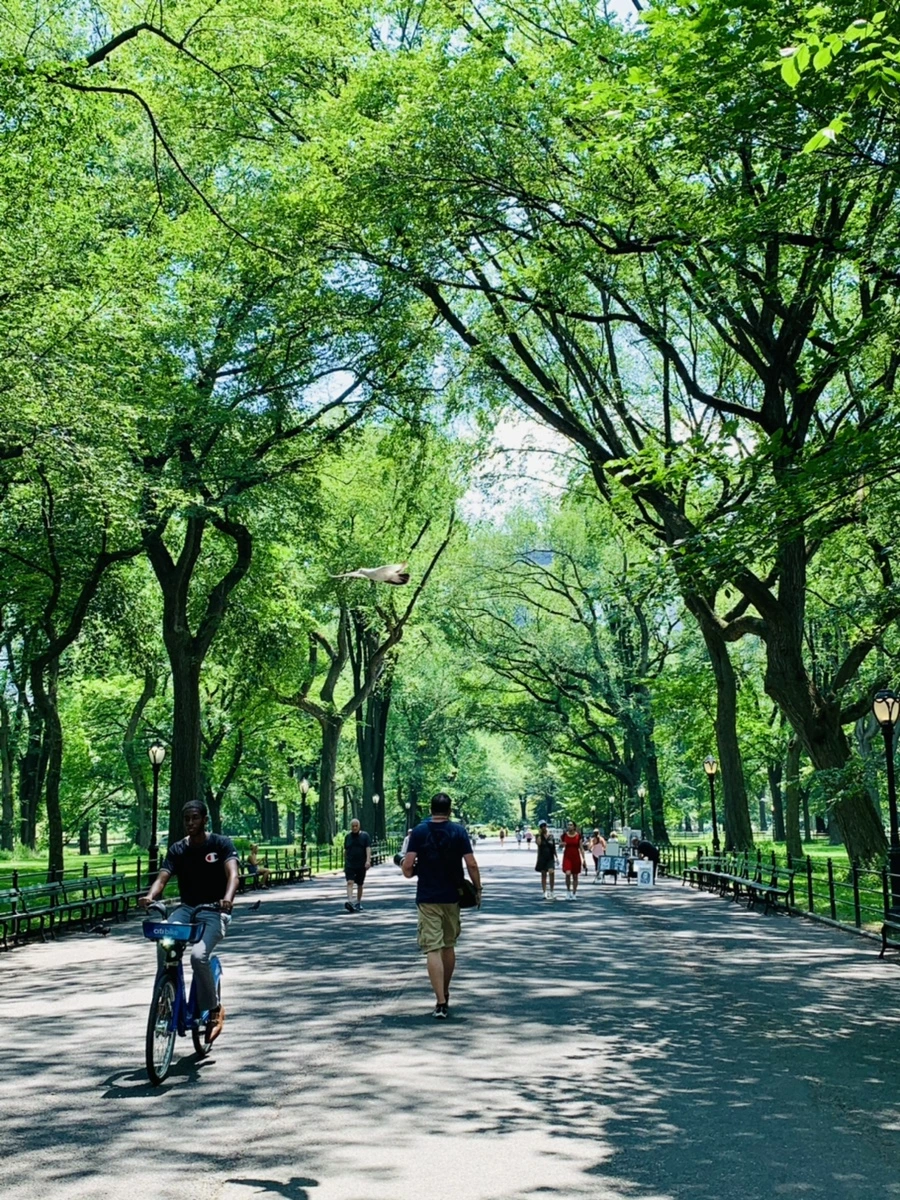 IMG_8543.jpg?type=w966