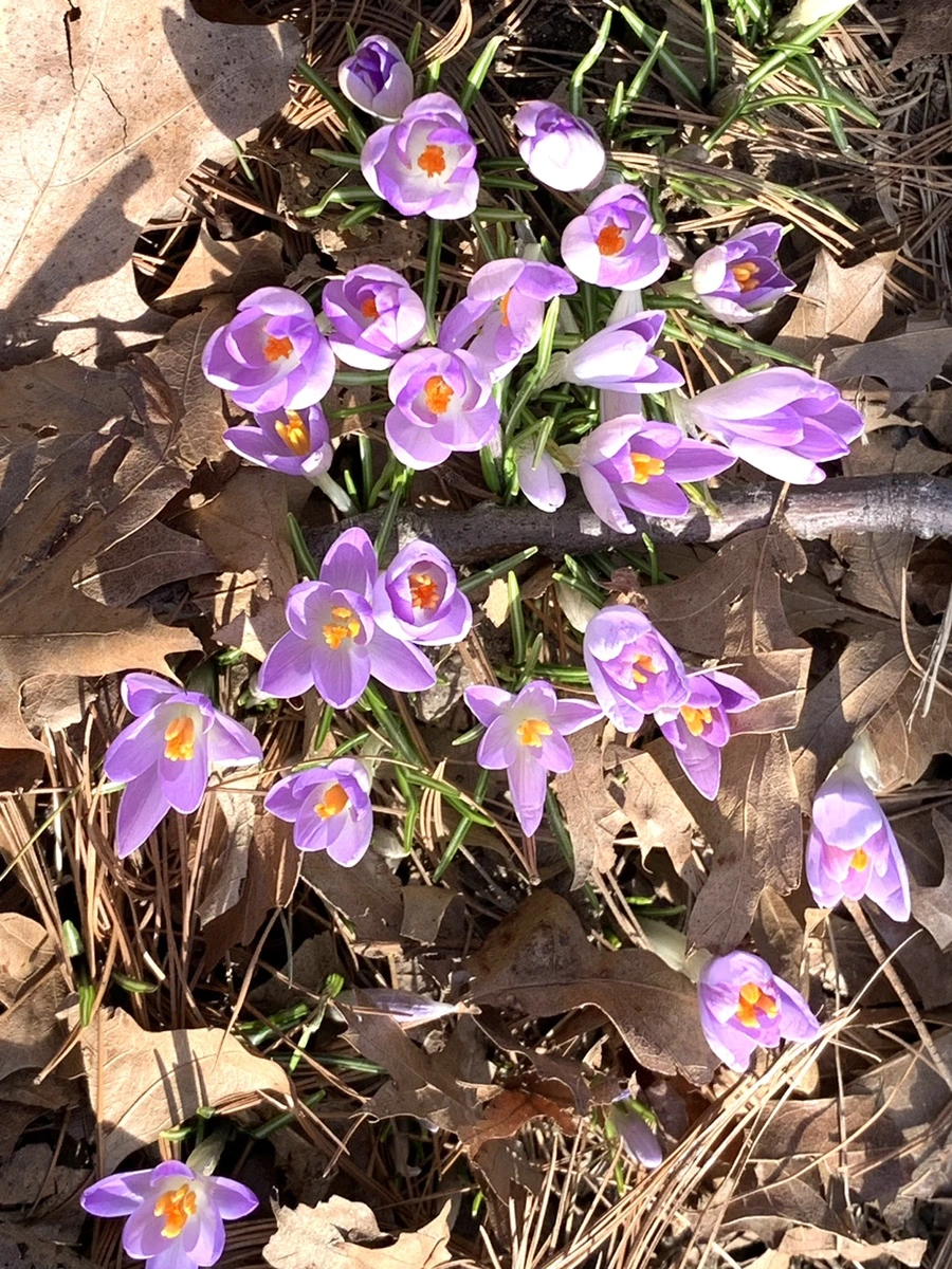 IMG_9634.jpg?type=w966