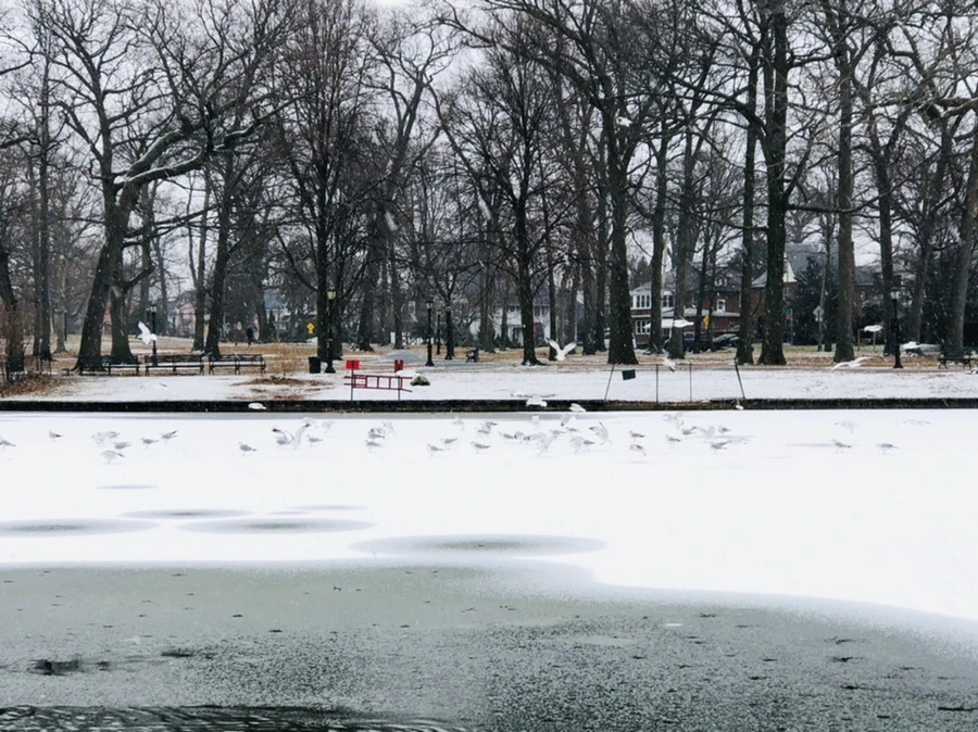 IMG_6101.jpg?type=w966