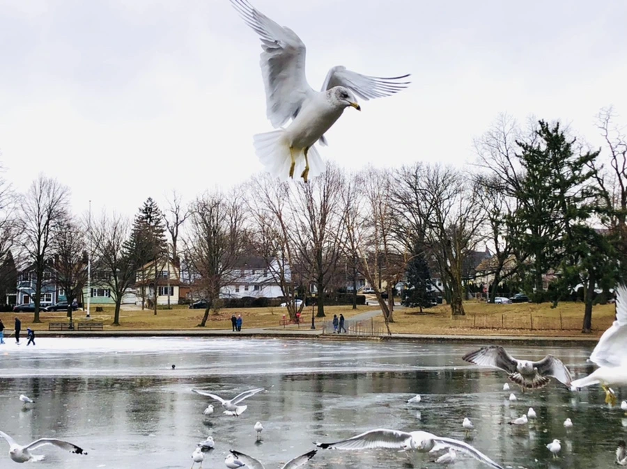 IMG_8249.jpg?type=w966