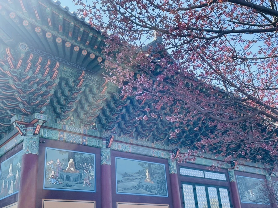 IMG_5866.jpg?type=w966