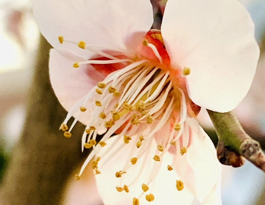 IMG_2869.jpg?type=w966