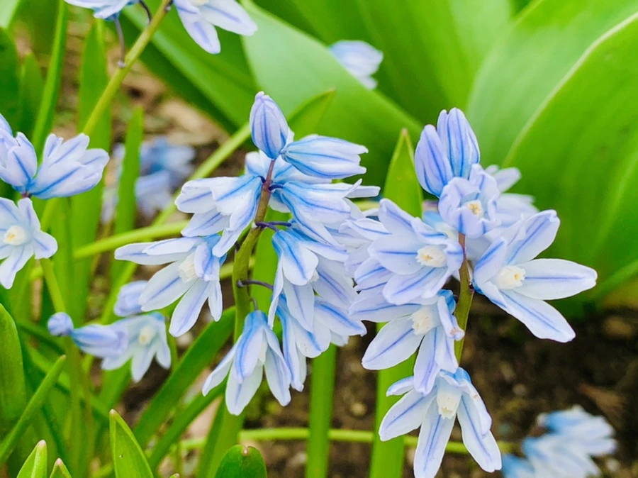 IMG_6727.jpg?type=w966