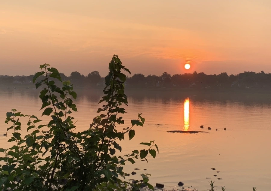 IMG_1376.jpg?type=w966