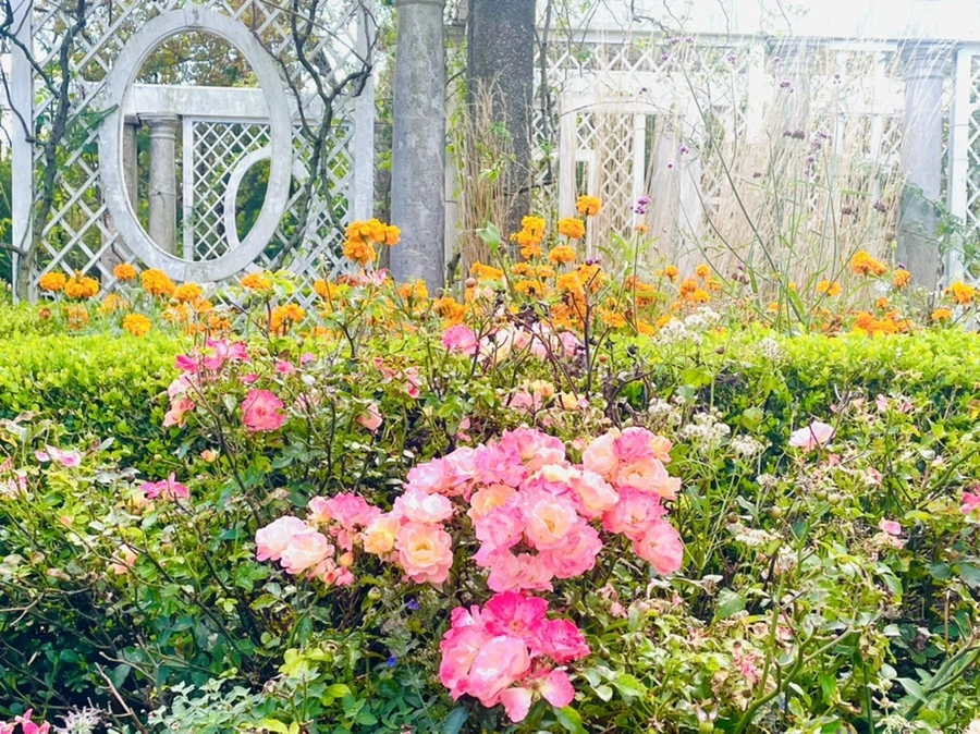 IMG_0149.jpg?type=w966