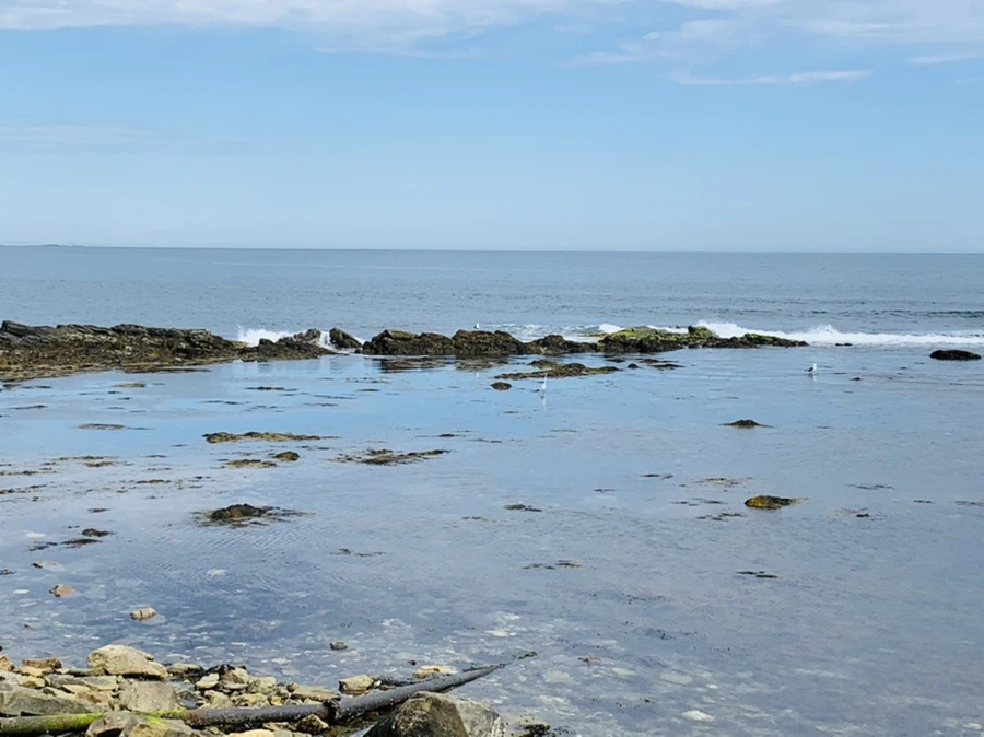 IMG_2783.jpg?type=w966