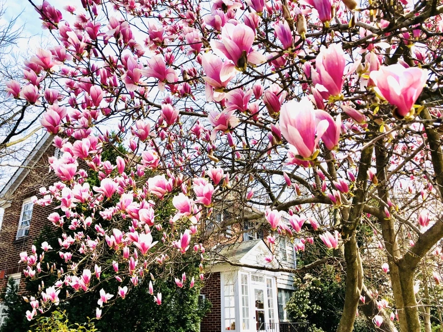 IMG_6754.jpg?type=w966