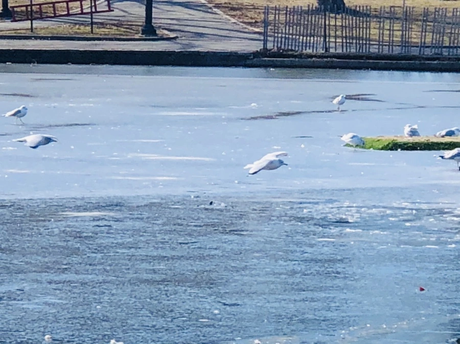 IMG_6589.jpg?type=w966