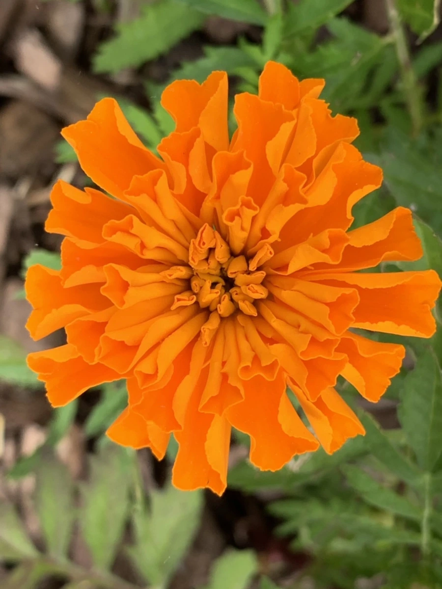 IMG_6254.jpg?type=w966