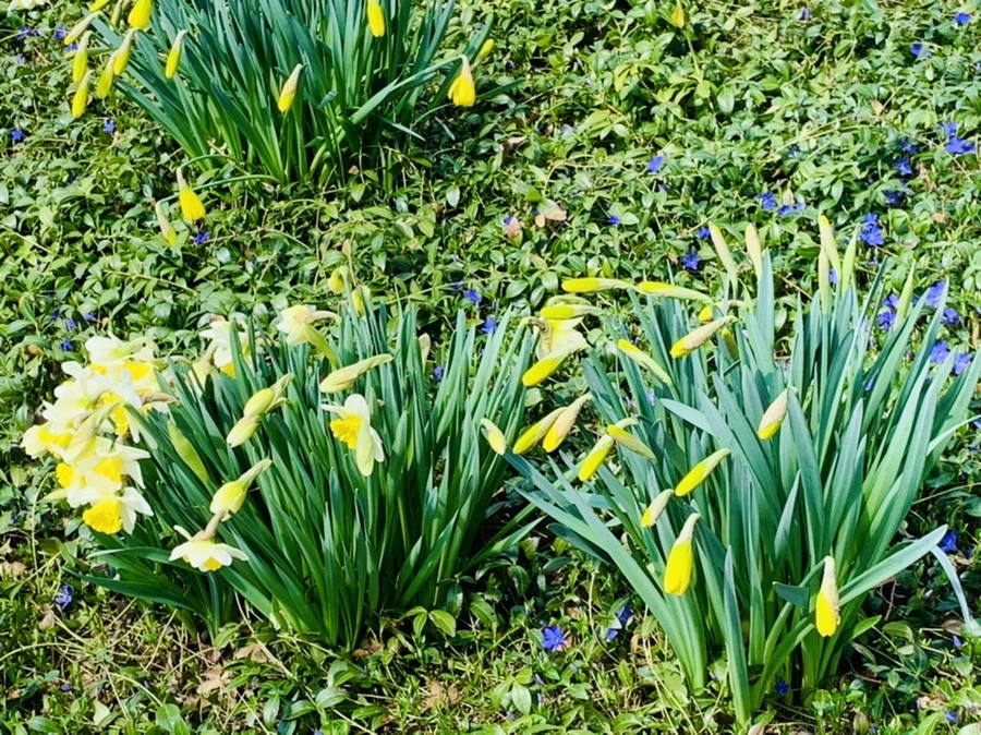 IMG_4318.jpg?type=w966