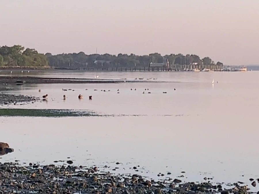 IMG_0221.jpg?type=w966