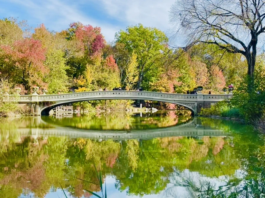 IMG_0245.jpg?type=w966