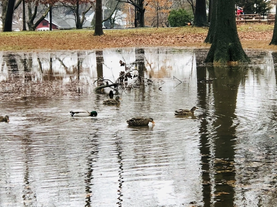 IMG_3376.jpg?type=w966