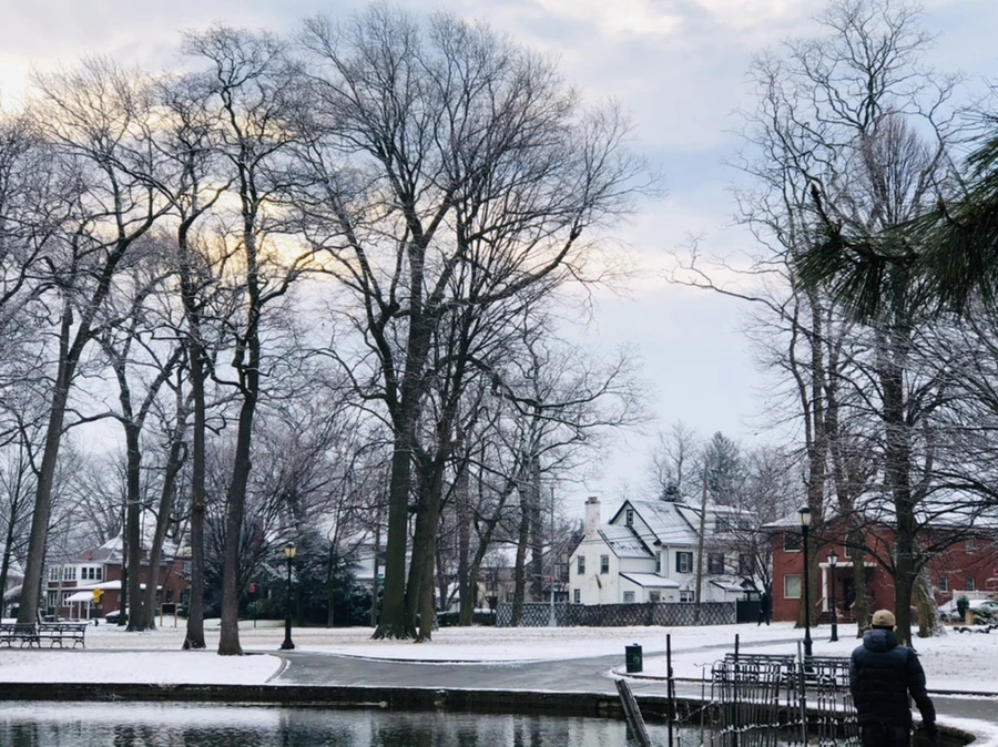 IMG_4544.jpg?type=w966